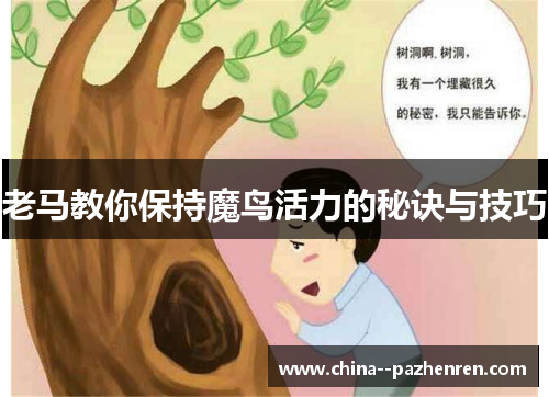老马教你保持魔鸟活力的秘诀与技巧