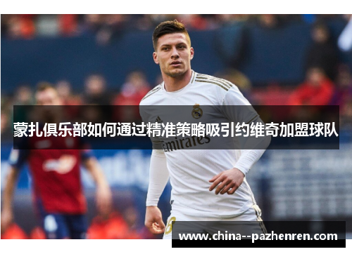 蒙扎俱乐部如何通过精准策略吸引约维奇加盟球队 蒙扎俱乐部如何通过精准策略吸引约维奇加盟球队