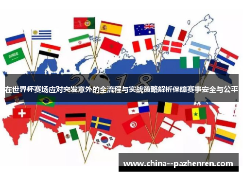 在世界杯赛场应对突发意外的全流程与实战策略解析保障赛事安全与公平