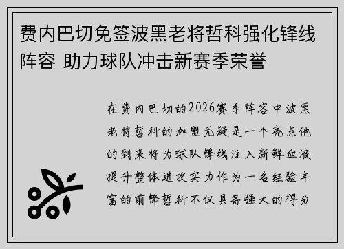费内巴切免签波黑老将哲科强化锋线阵容 助力球队冲击新赛季荣誉